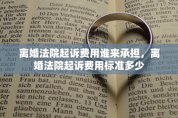 离婚法院起诉费用谁来承担，离婚法院起诉费用标准多少
