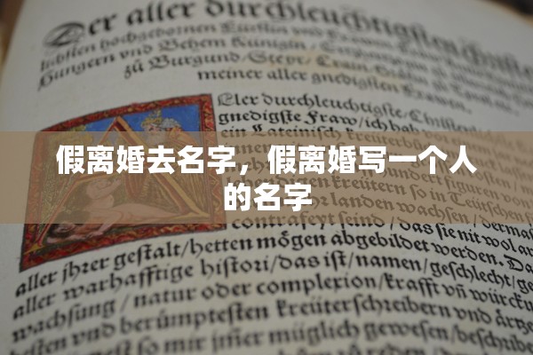 假离婚去名字，假离婚写一个人的名字