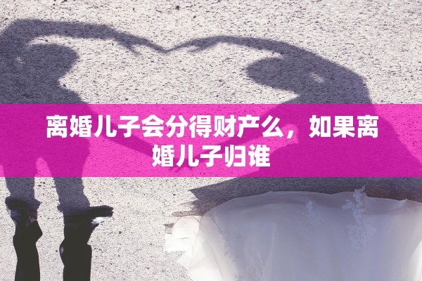 离婚儿子会分得财产么，如果离婚儿子归谁