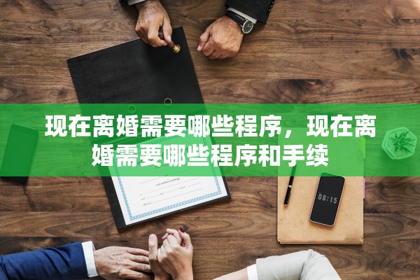 现在离婚需要哪些程序，现在离婚需要哪些程序和手续