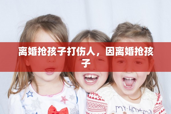离婚抢孩子打伤人，因离婚抢孩子
