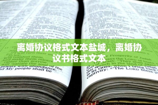 离婚协议格式文本盐城，离婚协议书格式文本