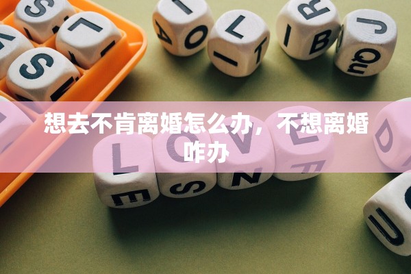 想去不肯离婚怎么办，不想离婚咋办