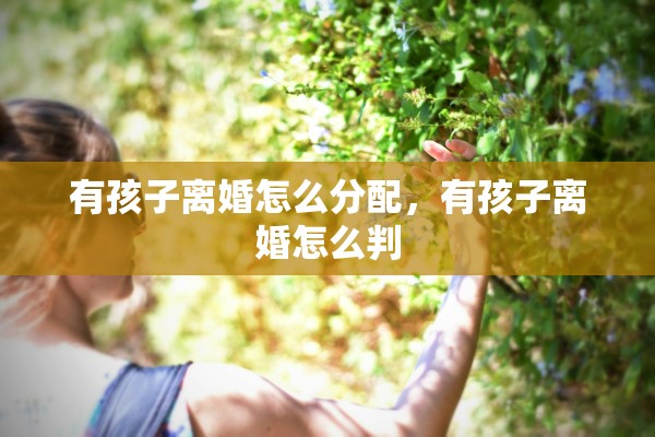 有孩子离婚怎么分配，有孩子离婚怎么判