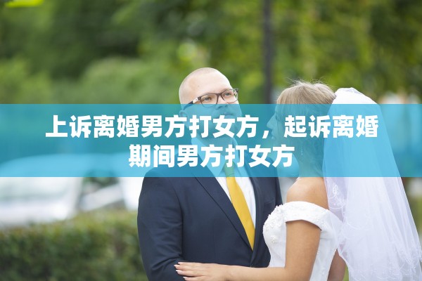 上诉离婚男方打女方，起诉离婚期间男方打女方