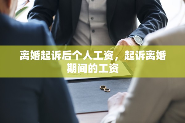 离婚起诉后个人工资，起诉离婚期间的工资