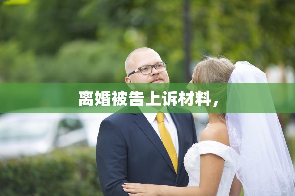离婚被告上诉材料，