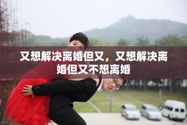 又想解决离婚但又，又想解决离婚但又不想离婚