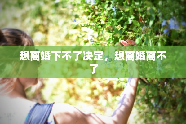 想离婚下不了决定，想离婚离不了