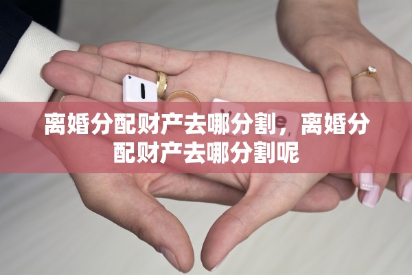 离婚分配财产去哪分割，离婚分配财产去哪分割呢