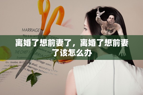 离婚了想前妻了，离婚了想前妻了该怎么办