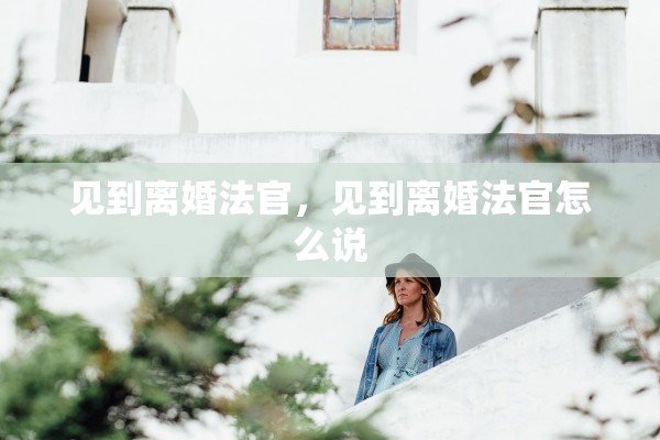 见到离婚法官，见到离婚法官怎么说