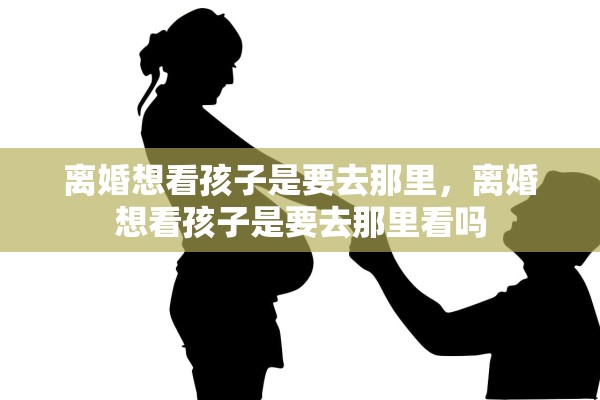 离婚想看孩子是要去那里，离婚想看孩子是要去那里看吗