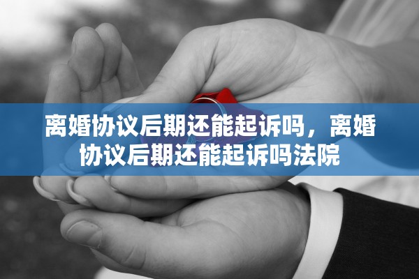 离婚协议后期还能起诉吗，离婚协议后期还能起诉吗法院