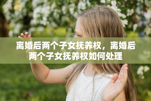 离婚后两个子女抚养权，离婚后两个子女抚养权如何处理