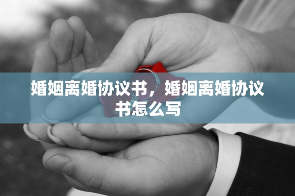 婚姻离婚协议书，婚姻离婚协议书怎么写