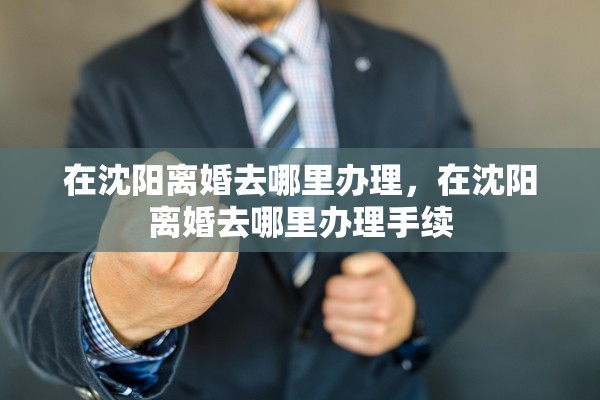 在沈阳离婚去哪里办理，在沈阳离婚去哪里办理手续