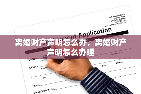 离婚财产声明怎么办，离婚财产声明怎么办理