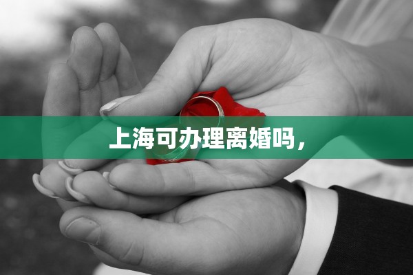 上海可办理离婚吗，
