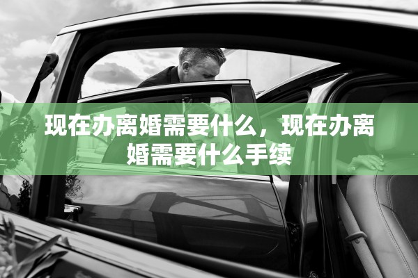 现在办离婚需要什么，现在办离婚需要什么手续
