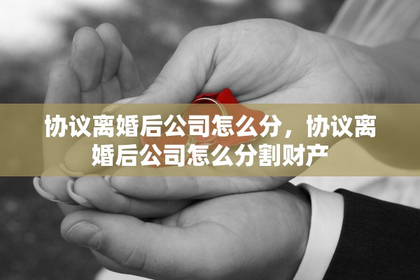 协议离婚后公司怎么分，协议离婚后公司怎么分割财产