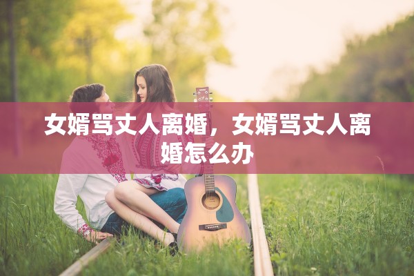 女婿骂丈人离婚，女婿骂丈人离婚怎么办