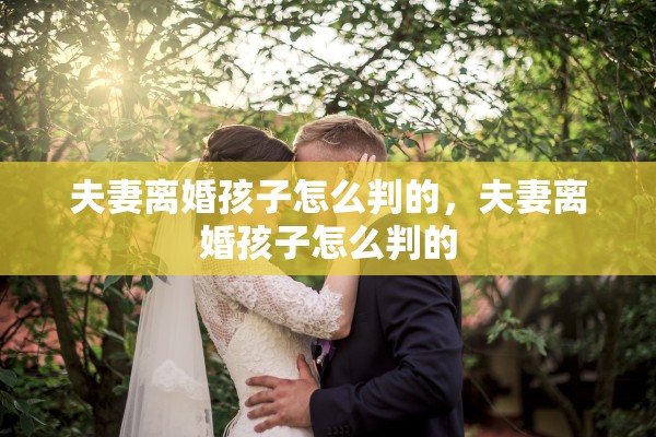 夫妻离婚孩子怎么判的，夫妻离婚孩子怎么判的