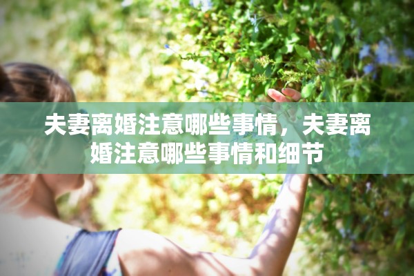 夫妻离婚注意哪些事情，夫妻离婚注意哪些事情和细节