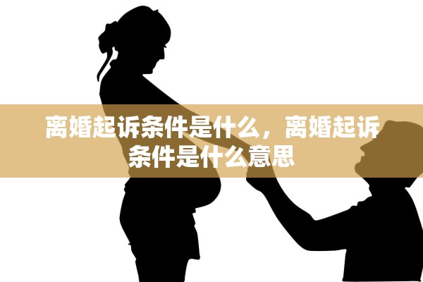 离婚起诉条件是什么，离婚起诉条件是什么意思