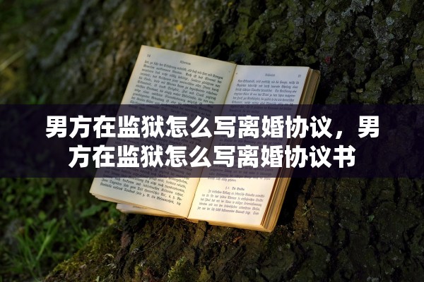 男方在监狱怎么写离婚协议，男方在监狱怎么写离婚协议书