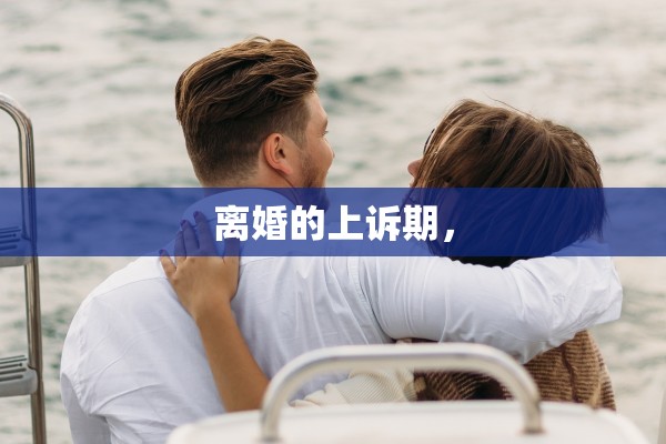 离婚的上诉期，