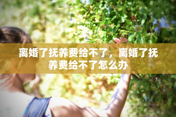 离婚了抚养费给不了，离婚了抚养费给不了怎么办