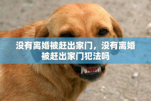 没有离婚被赶出家门，没有离婚被赶出家门犯法吗