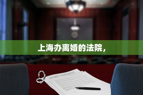 上海办离婚的法院，