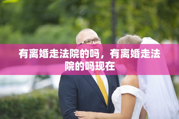 有离婚走法院的吗，有离婚走法院的吗现在