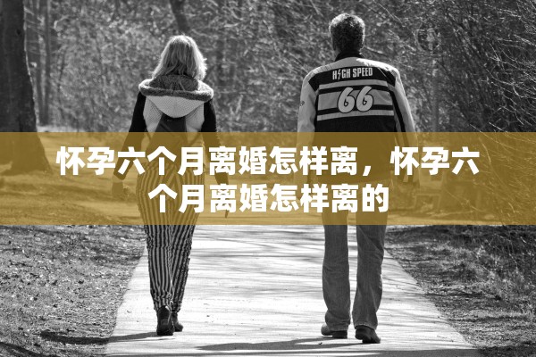 怀孕六个月离婚怎样离，怀孕六个月离婚怎样离的