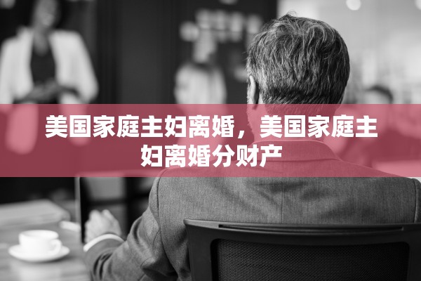 美国家庭主妇离婚，美国家庭主妇离婚分财产