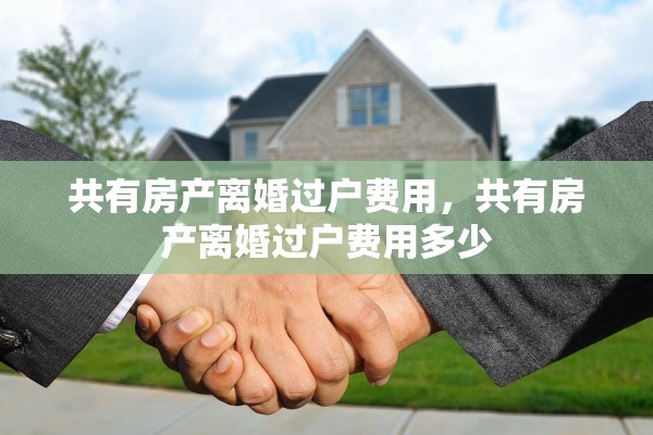 共有房产离婚过户费用，共有房产离婚过户费用多少