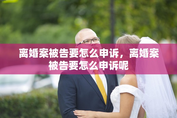 离婚案被告要怎么申诉，离婚案被告要怎么申诉呢