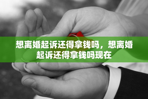 想离婚起诉还得拿钱吗，想离婚起诉还得拿钱吗现在