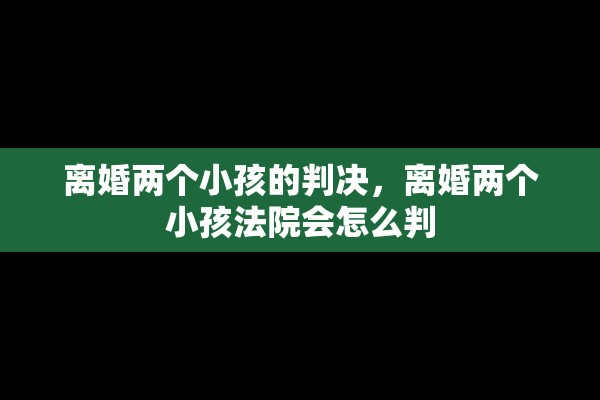 离婚两个小孩的判决，离婚两个小孩法院会怎么判