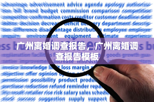 广州离婚调查报告，广州离婚调查报告模板