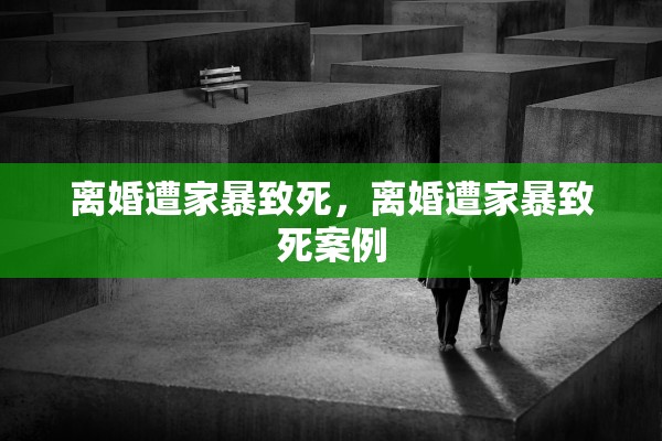 离婚遭家暴致死，离婚遭家暴致死案例