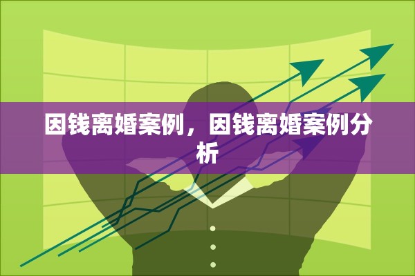 因钱离婚案例，因钱离婚案例分析