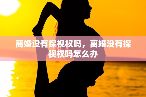 离婚没有探视权吗，离婚没有探视权吗怎么办