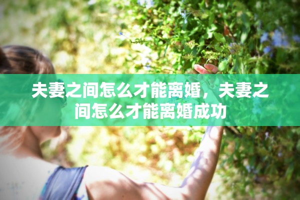 夫妻之间怎么才能离婚，夫妻之间怎么才能离婚成功