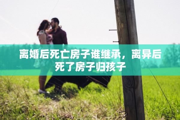 离婚后死亡房子谁继承，离异后死了房子归孩子
