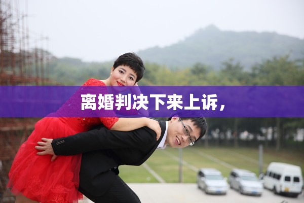 离婚判决下来上诉，