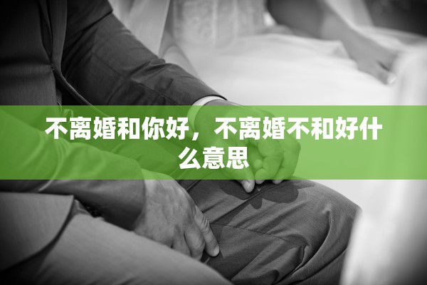 不离婚和你好，不离婚不和好什么意思