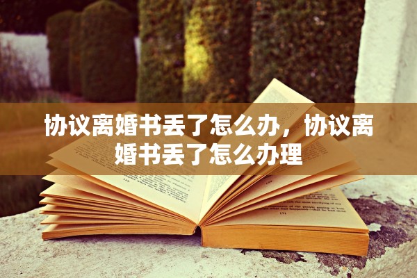 协议离婚书丢了怎么办，协议离婚书丢了怎么办理